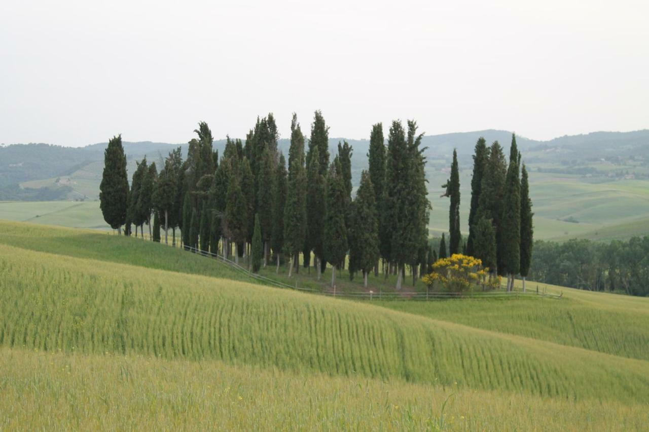 Agriturismo Cantagalli San Quirico dʼOrcia Exterior foto